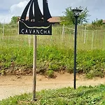 La Maison Cavancha Daire *